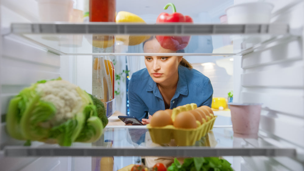 Freshness & Ice for Every Day