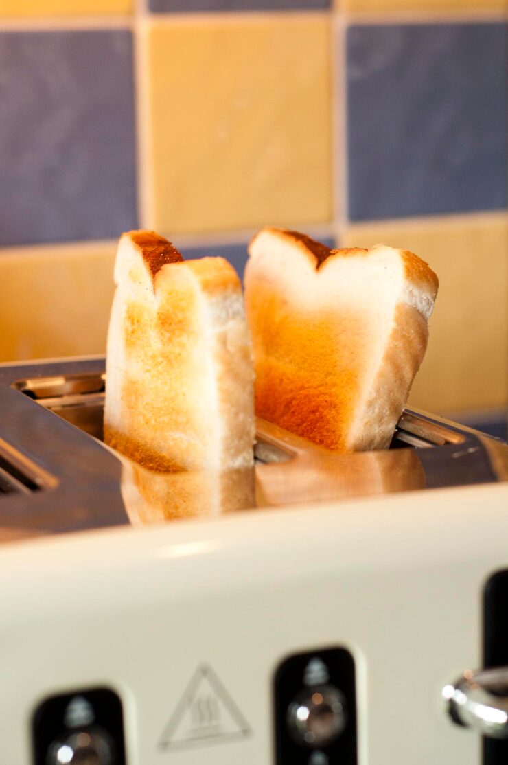 Versatile food warmer Custom programs